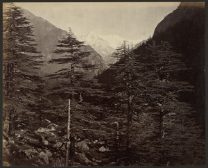 Snowy Peaks near Gangotri, from Bhairamghati by Samuel Bourne