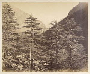 Snowy Peaks near Gangotri from Bhaironghati by Samuel Bourne