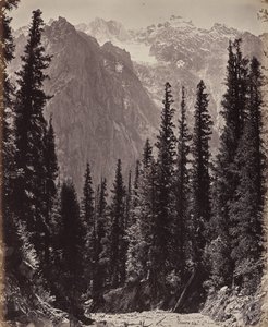 The Upper Himalayas. View in the Manga Valley by Samuel Bourne
