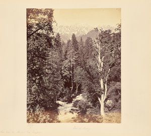 View Below the Meribul Pass, Singapore by Samuel Bourne