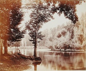 View on the Dhul Canal, Kashmir by Samuel Bourne