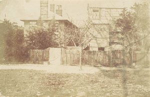Tree in Yard by Samuel Buckle
