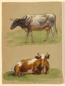 Drawing, Cattle, a Cow Walking and a Cow Crouching by Samuel Colman
