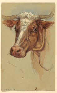 Sketches from Narragansett, Rhode Island, 1871 by Samuel Colman