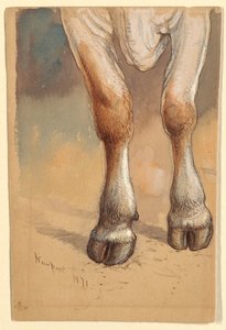Studies After Cattle by Samuel Colman