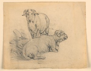 Study. Two Rams, ca. 1850 by Samuel Colman