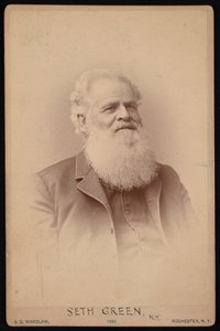 Portrait of Seth Green by Samuel D Wardlaw