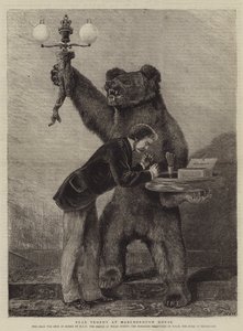 Bear Trophy at Marlborough House by Samuel Edmund Waller