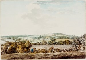 The Old House at the Grange and Barber Wood