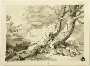 Fox Hunt