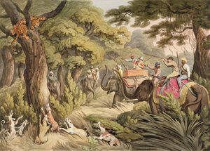 Shooting A Leopard, from Oriental Field Sports, pub. by Edward Orme