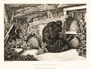 A Brown Bear Attacked by an Army of Bees by Samuel Howitt