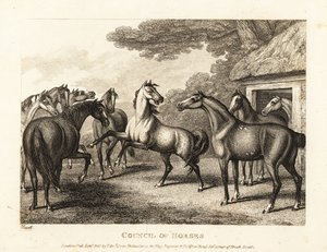 A young colt tries to stir a mutiny in the stables