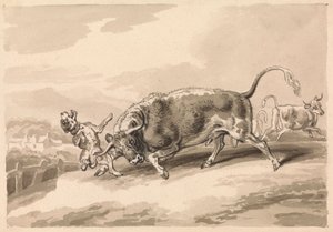 Bull Attacking Mastiff by Samuel Howitt