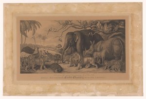 Exotic Animals from the Royal Menagerie at the Strand, London
