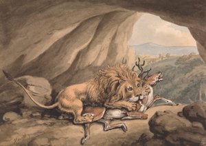 Lion Attacking a Stag by Samuel Howitt