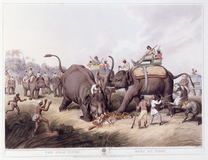 The Dead Tiger; Mort du tigre, 1807 by Samuel Howitt