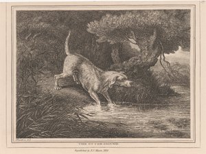 The Otter Hound by Samuel Howitt