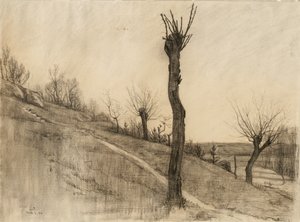 Late winter landscape