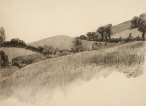 Rural landscape