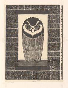 Ringed Owl