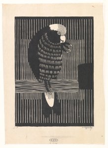 Rose Cockatoo