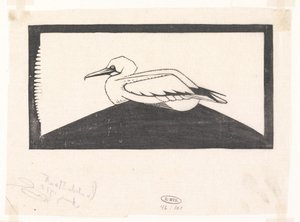 Northern Gannet