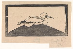 Gannet