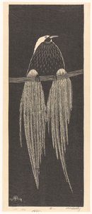 Bird of Paradise by Samuel Jessurun de Mesquita