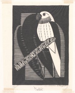Parakeet