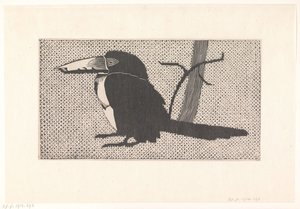 Toucan