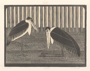 Two Marabou Storks