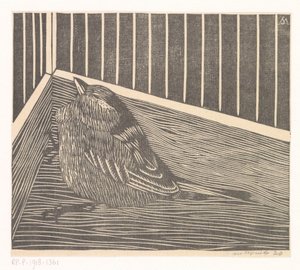 Bird in the Corner of a Cage by Samuel Jessurun de Mesquita