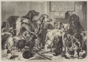 Home for Lost and Starving Dogs, Hollingsworth-Street, Islington by Samuel John Carter