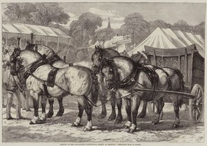 Meeting of the Lincolnshire Agricultural Society at Sleaford, First-Prize Team of Horses