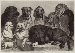 Prize Dogs at the Crystal Palace Dog Show