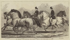 The Horse-Show at the Agricultural Hall, Islington, Parade of Prize Horses, Trotters and Hacks by Samuel John Carter