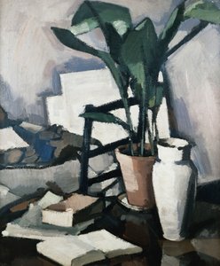 Aspidistra, c.1924