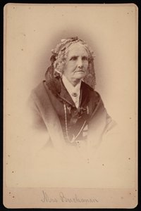 Portrait of Mrs. Buchanan by Samuel Montague Fassett