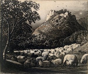 The Flock and the Star, c1831-1832