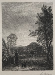 The Skylark by Samuel Palmer