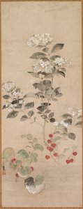 Summer Flowers