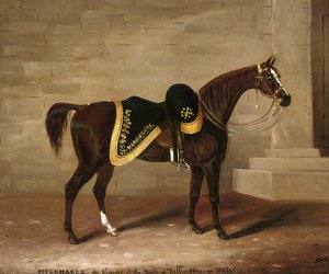 Copenhagen, the Charger of the Duke of Wellington at Waterloo