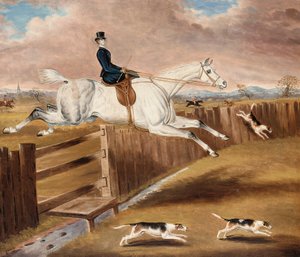 Over the Fence