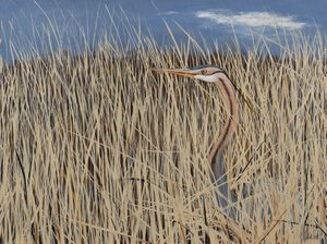 Gray Heron, 2021 by Sandy Iseli
