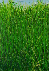 Summer Grass, 2020 by Sandy Iseli