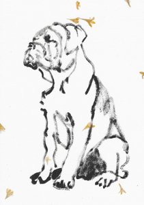 Bulldog Puppy Sketch