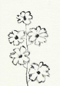 Charcoal Flower Sketch by Santhosh ch