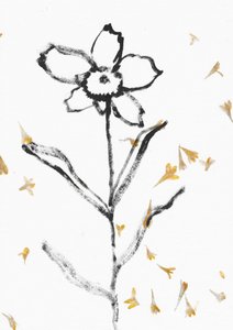 Delicate Flower Sketch