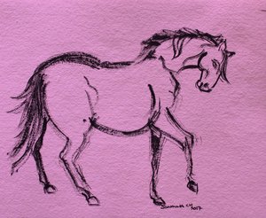 Dynamic Horse Outline